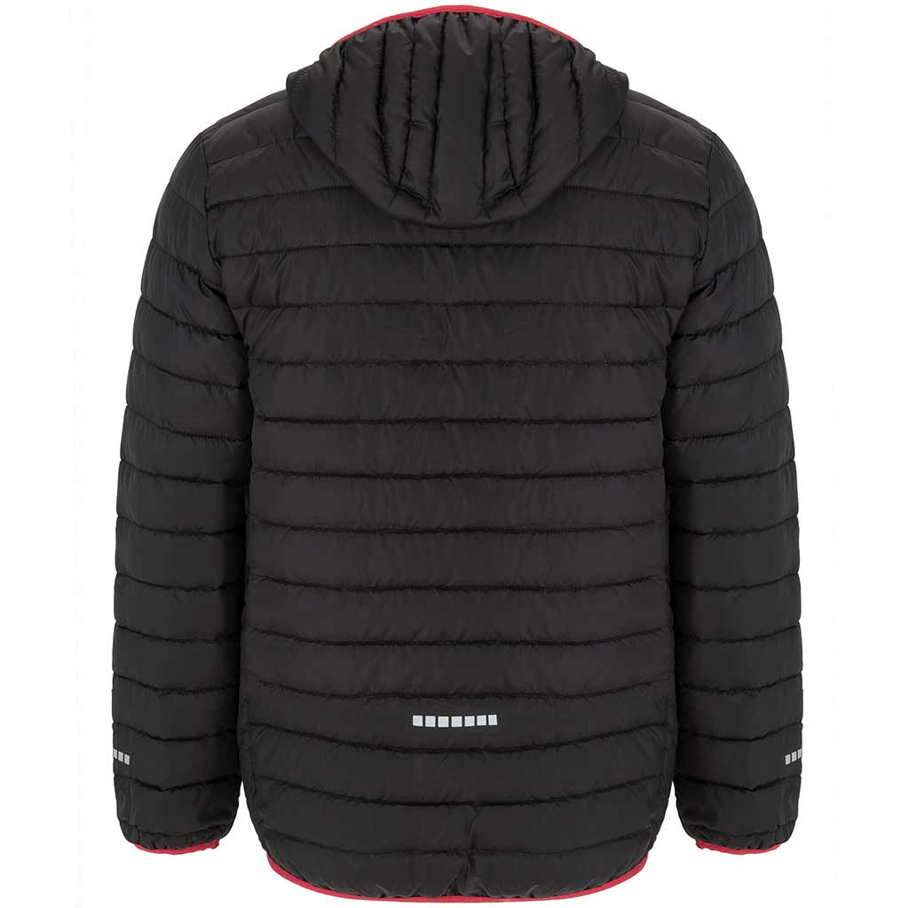 Chaqueta acolchada Norway sport - vista trasera